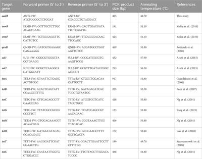 Diversity of antibiotic resistance gene variants at subsequent stages of the wastewater treatment process revealed by a metagenomic analysis of PCR amplicons